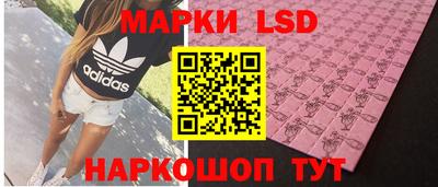 гидропоника Гусев