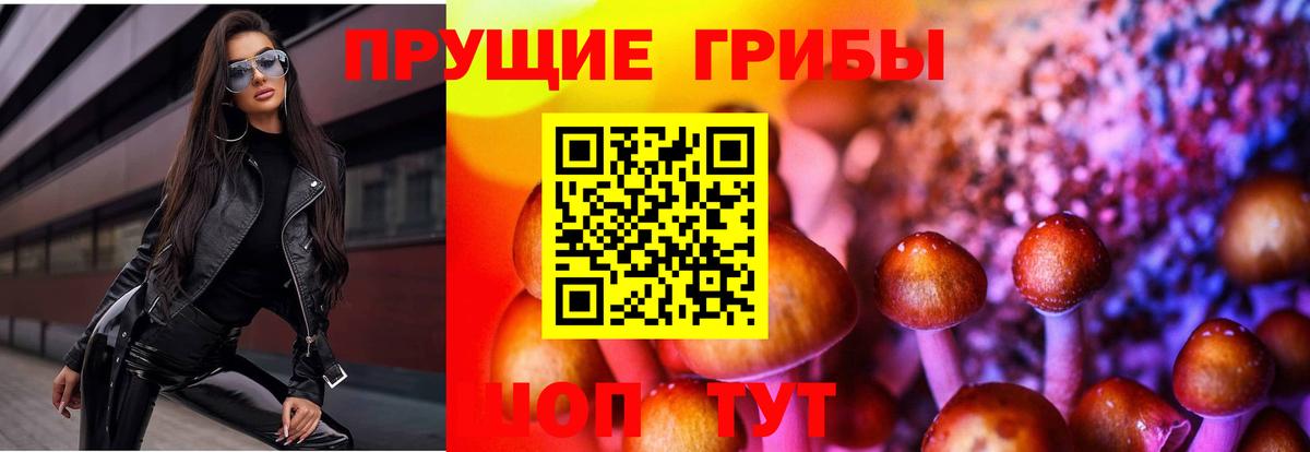 Псилоцибиновые грибы мицелий  Вход с VPN  Галлюциногенные грибы Psilocybine cubensis  Надым 